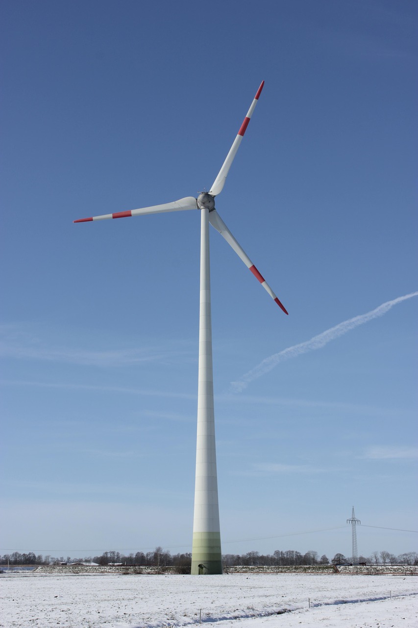 entdecken sie nachhaltige lösungen und innovative ideen für umweltschutz, ressourcenschonung und eine grüne zukunft. erfahren sie alles über nachhaltigkeit im alltag und in der wirtschaft.